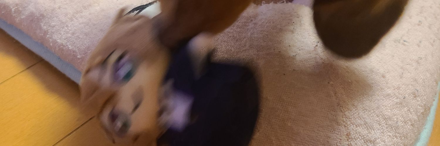 DanganHope's profile banner image