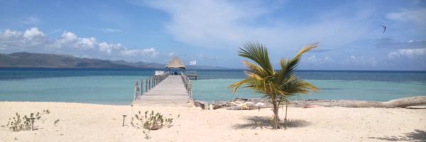 annegc10 Profile Banner