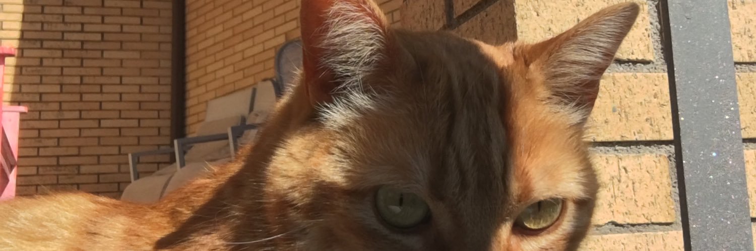 moconsia's profile banner image
