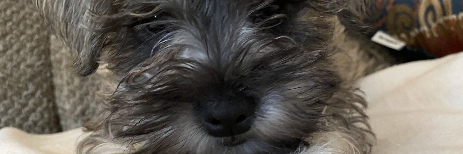 danielorta182's profile banner image