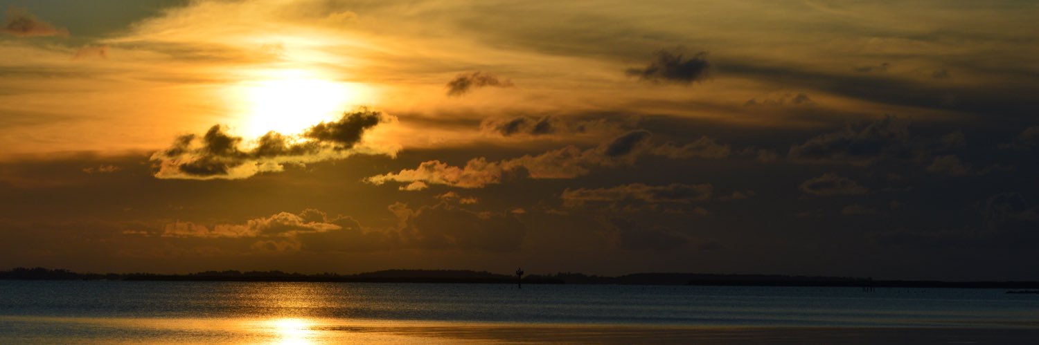CGundlah's profile banner image