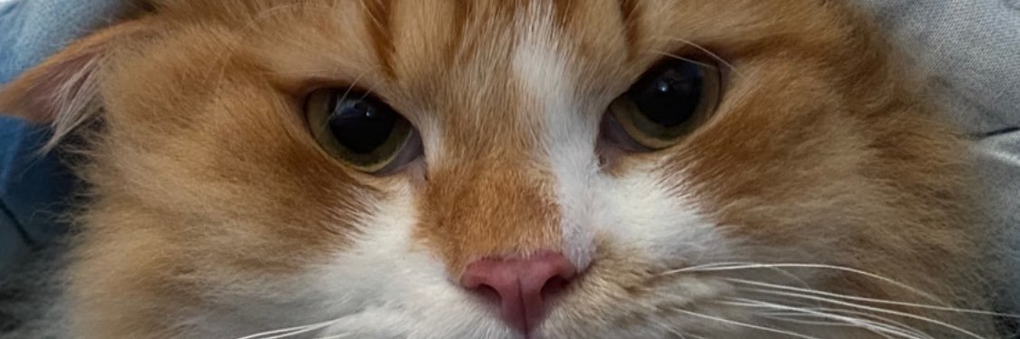 alvianrommy's profile banner image