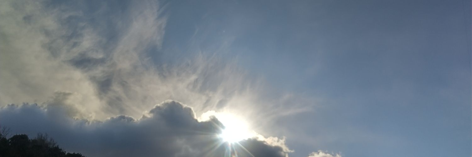 hamrinko's profile banner image