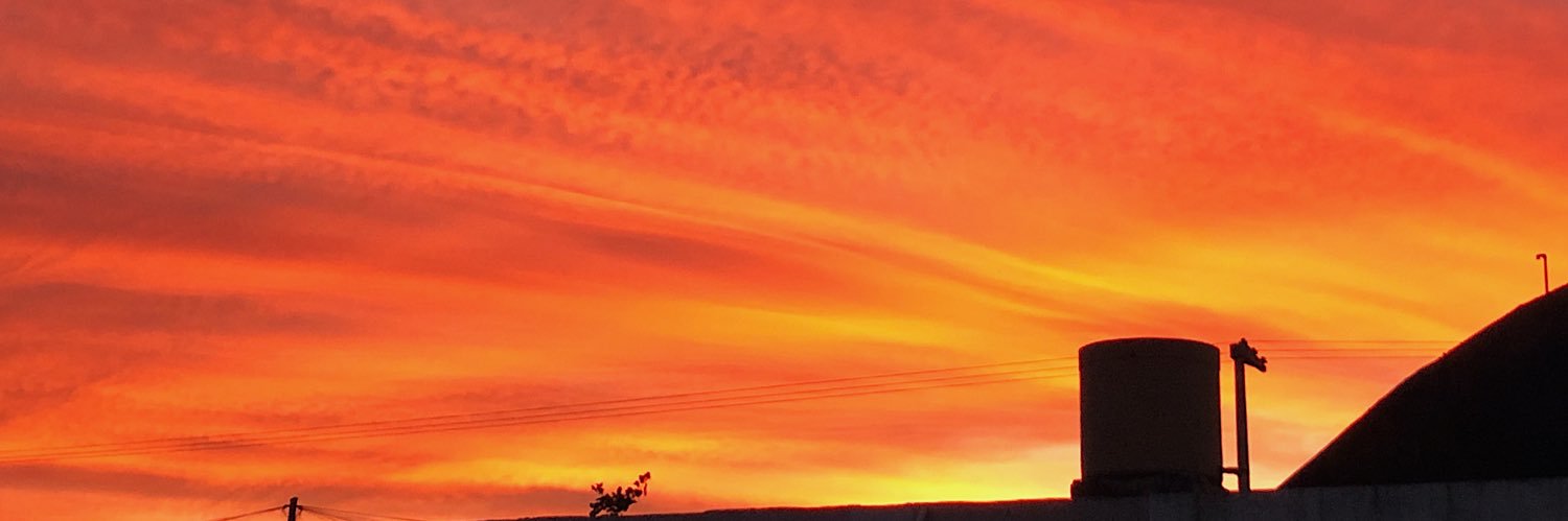 FlorSantesso's profile banner image