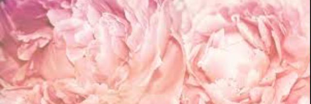 CEGearon's profile banner image