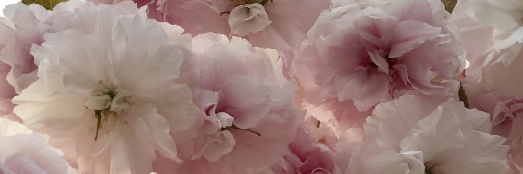 caseyleach_'s profile banner image