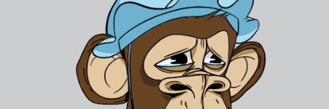Maxxy! banner