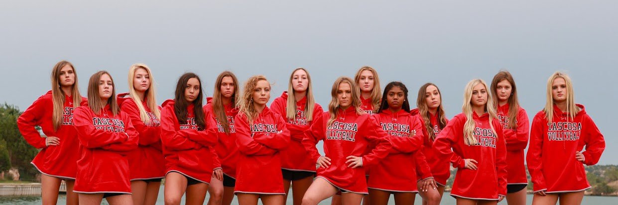 THS Volleyball banner