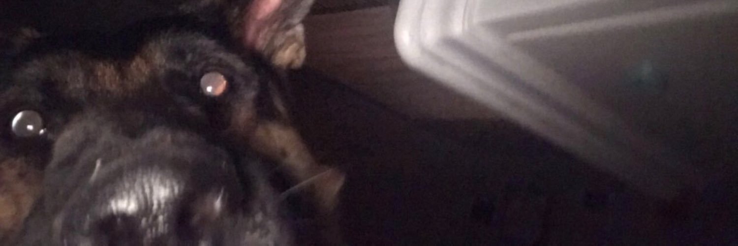 ralph_ralph7's profile banner image