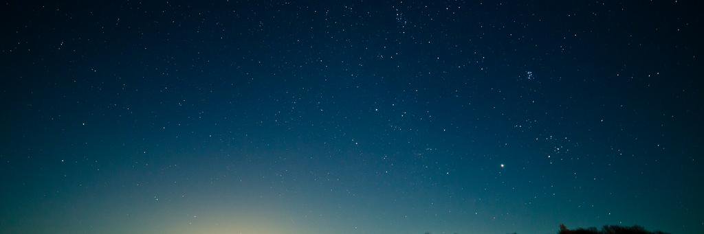 スギモトマコト banner