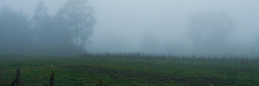 dodelier's profile banner image