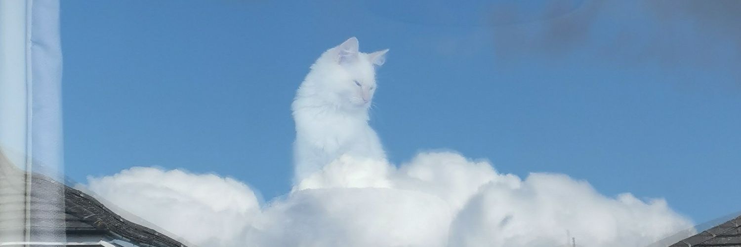 haphaphapz's profile banner image