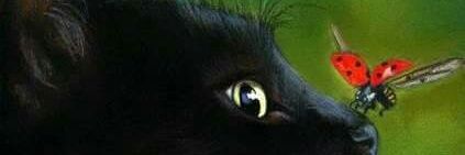 TheBombayCat's profile banner image