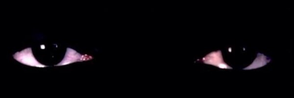 carlaroseee Profile Banner