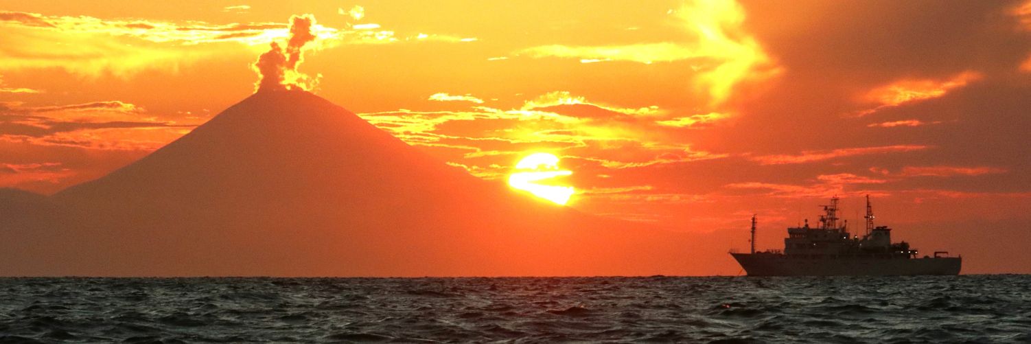 トリミー@駅メモ banner