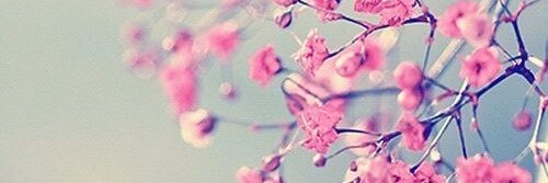 SandraSayys's profile banner image