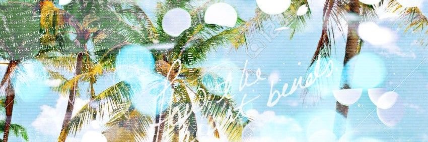 gabby 𓇼 wano banner