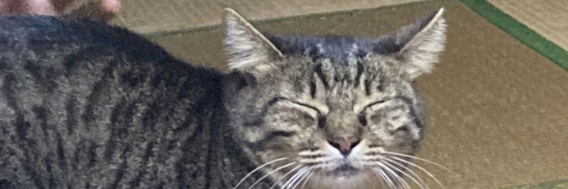 MrGamac's profile banner image