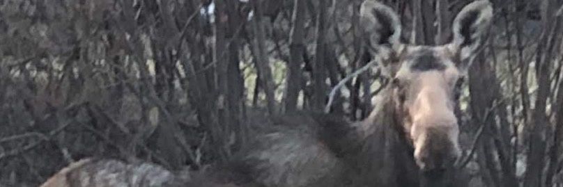 austenmckenna's profile banner image