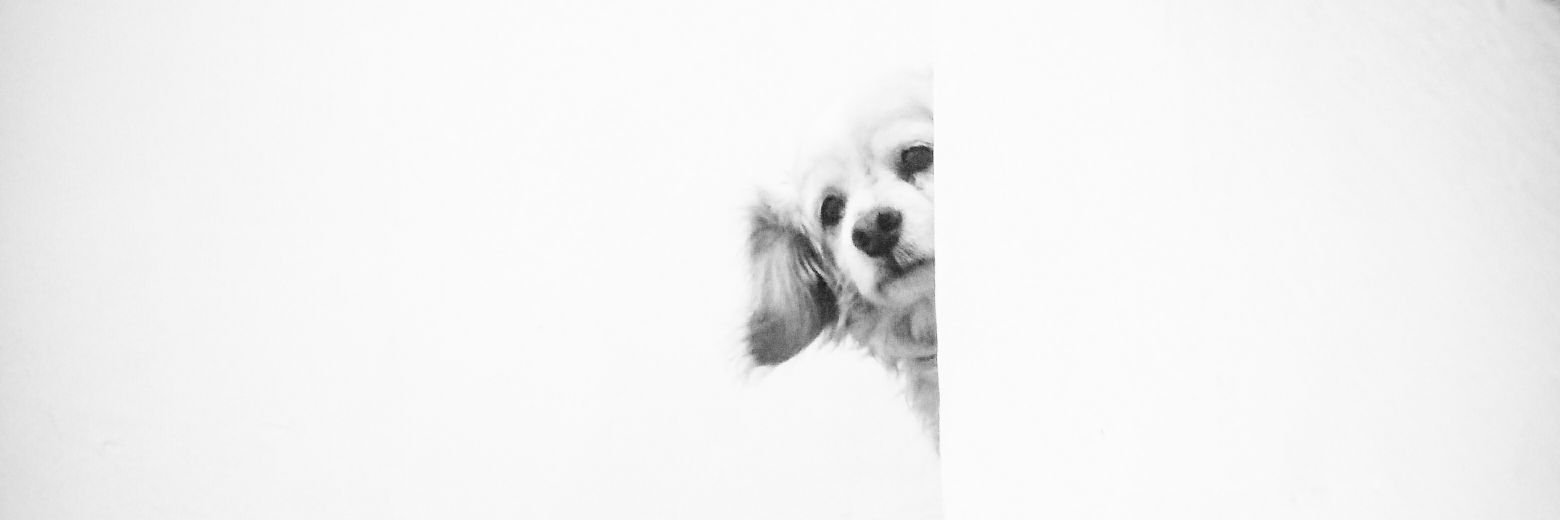 ethelza's profile banner image
