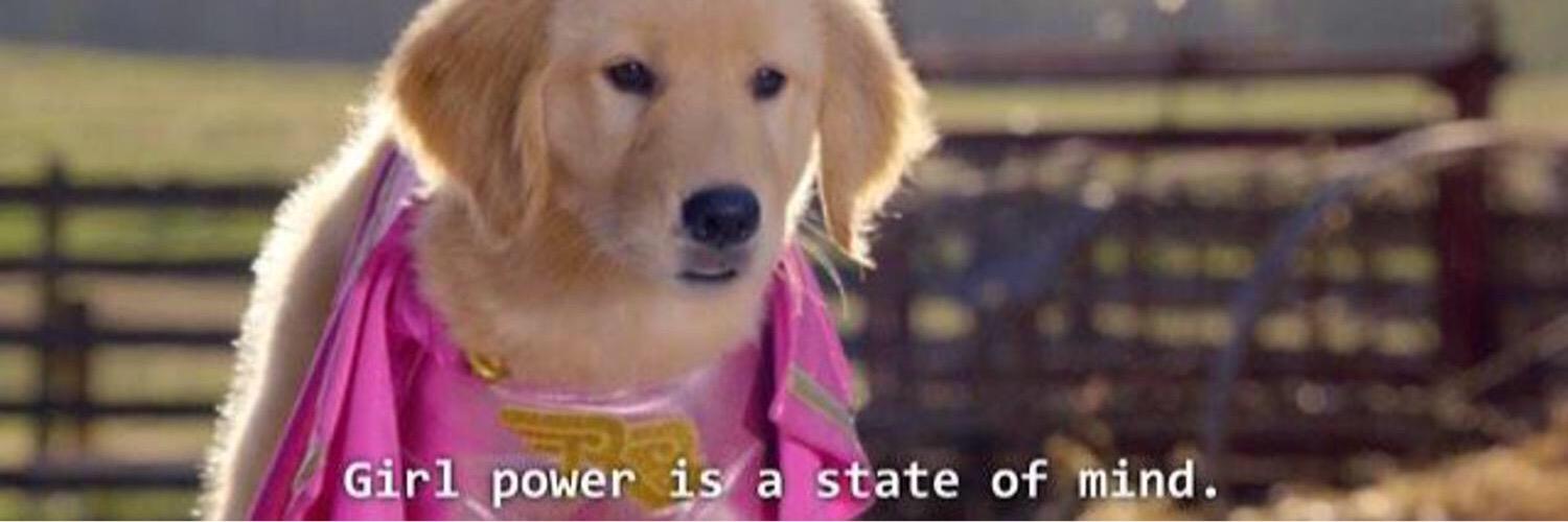 MorgangWren's profile banner image