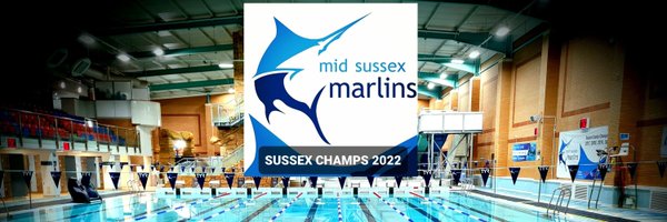 MSMswim Profile Banner
