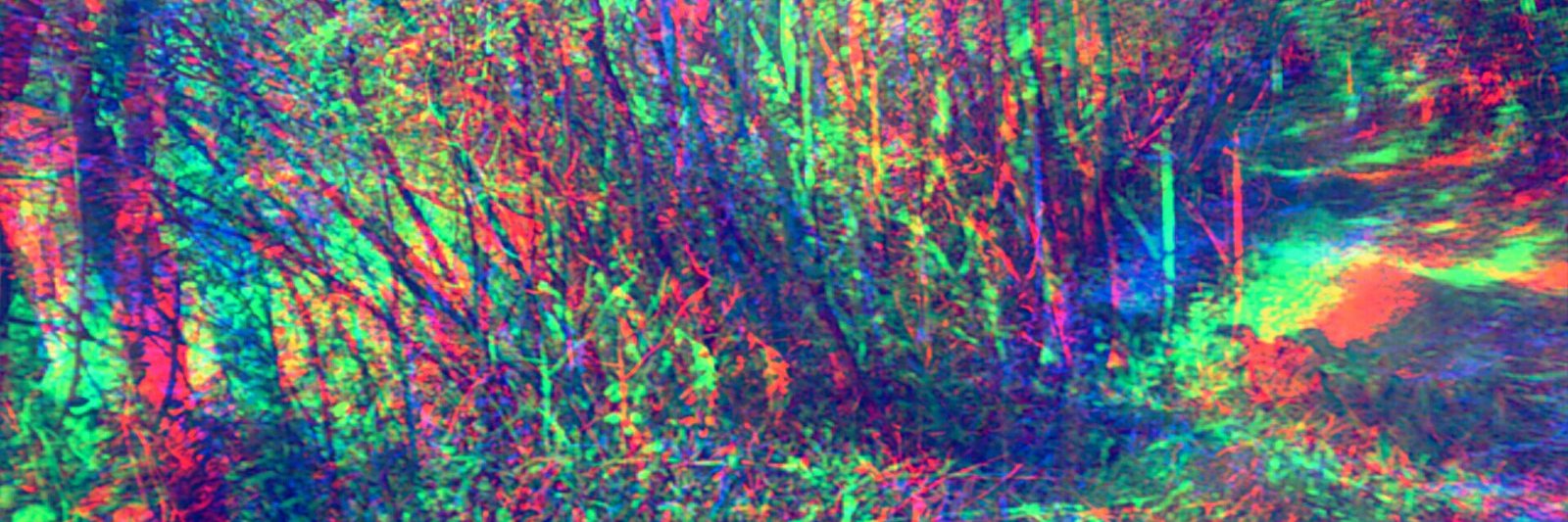 sethismellow's profile banner image