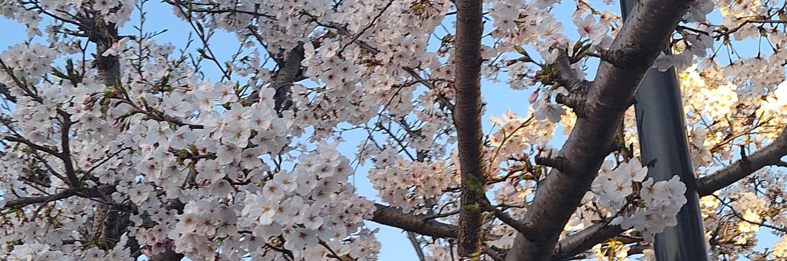 muratbursa's profile banner image