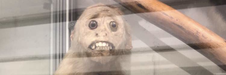 Conrad Graovac banner