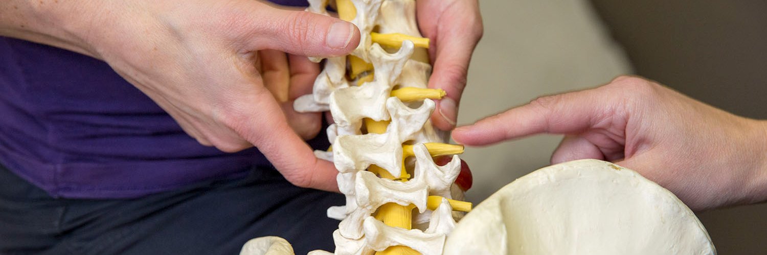 Ascent Physical Therapy & Performance Lab banner