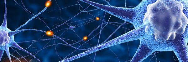 nerdybraindoc Profile Banner