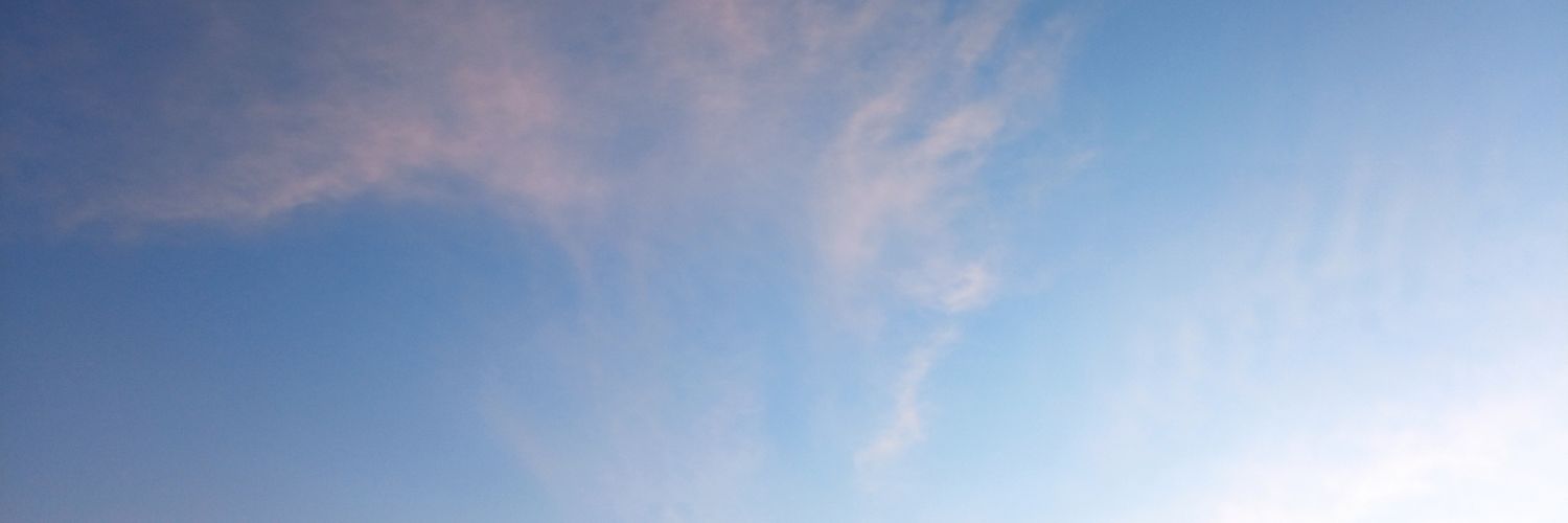 macrisandoval's profile banner image