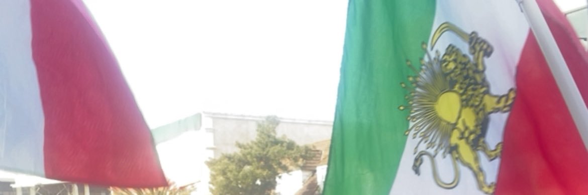 Anna Askari, MD, DipABLM, FAAFP (she/her/ella) banner