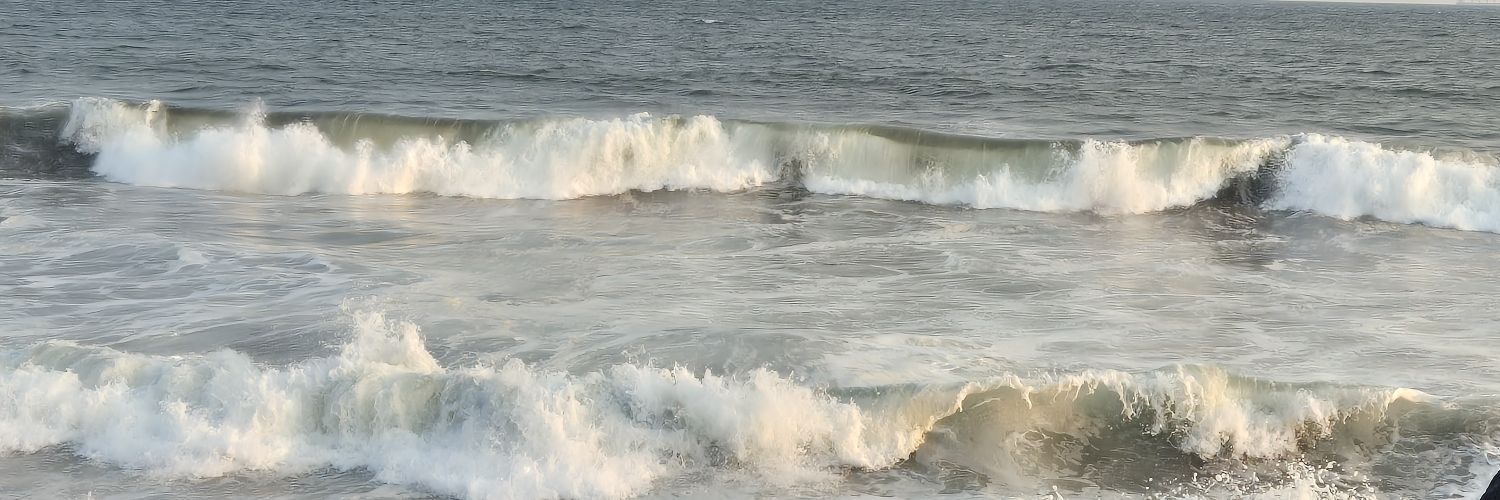 MonsterMorena's profile banner image