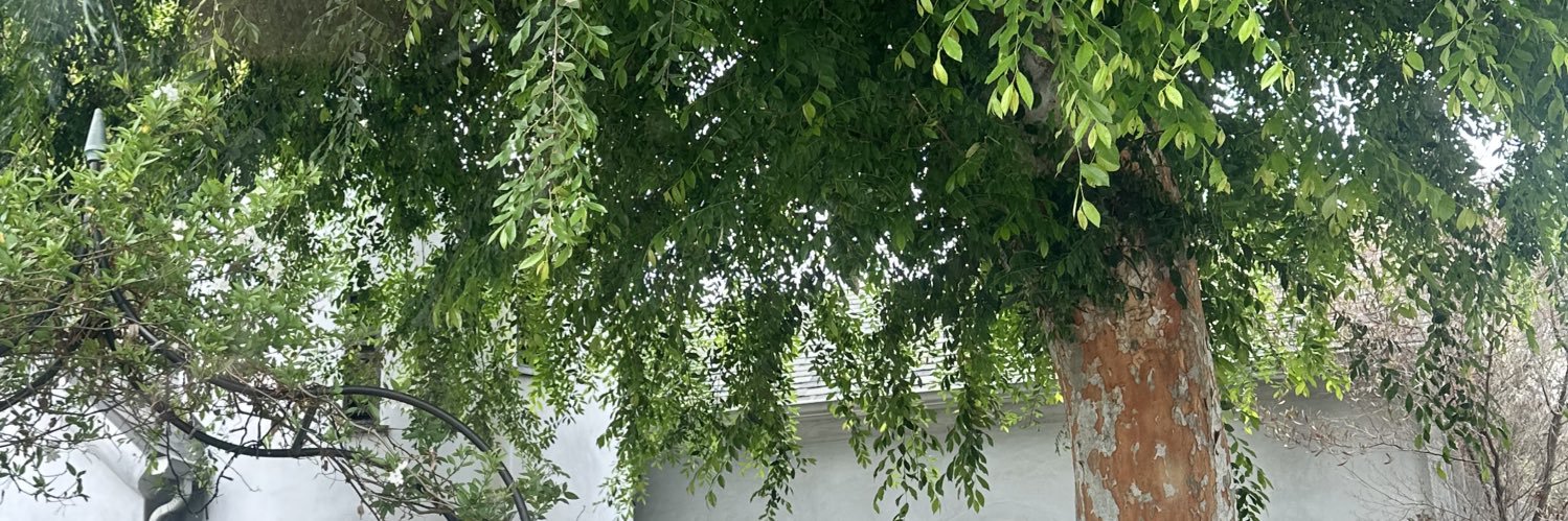commonsculpture's profile banner image