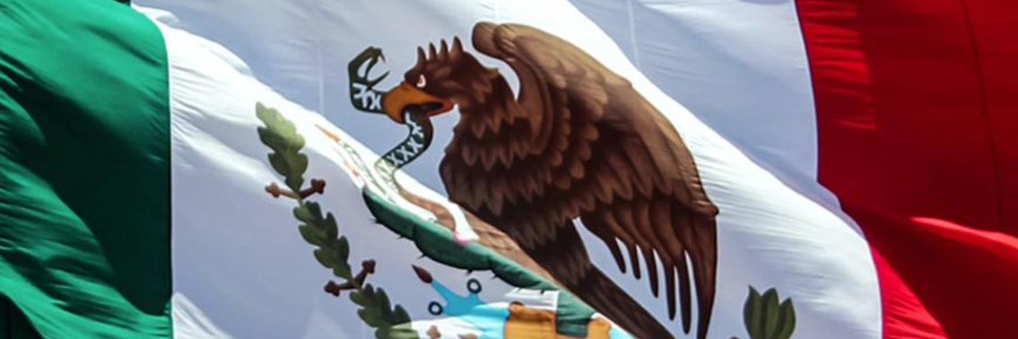 pacotije's profile banner image