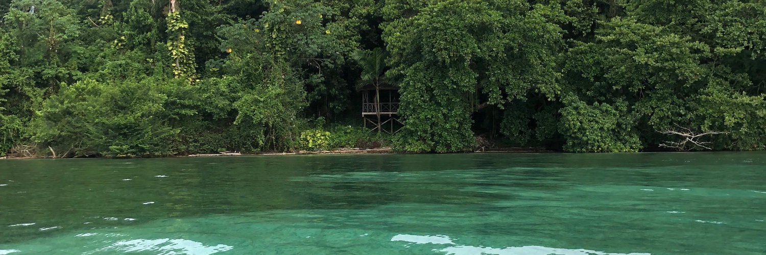 dee444🇯🇲 banner