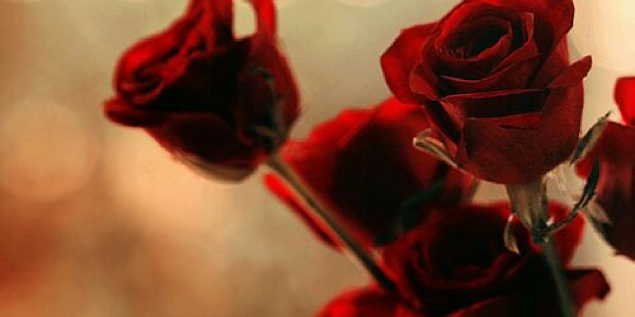 K200020101's profile banner image