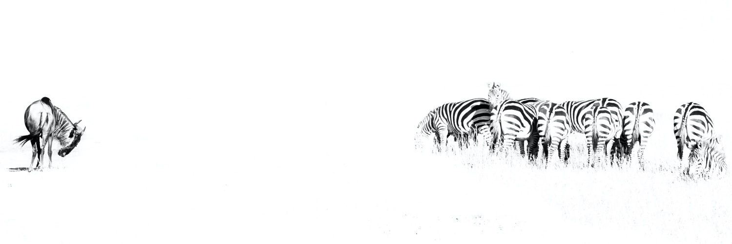 MarcAlbiac's profile banner image