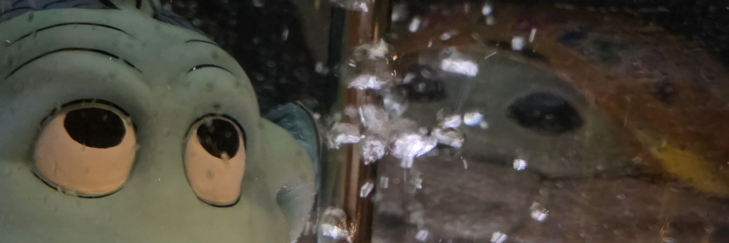 きのこ(´-ω-｀)@4/8🌊 4/15🏰💛💚 banner