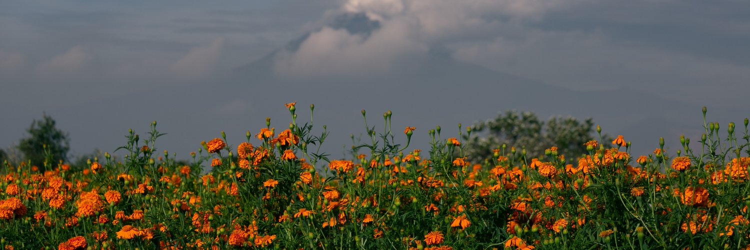 jmanueljuarez's profile banner image