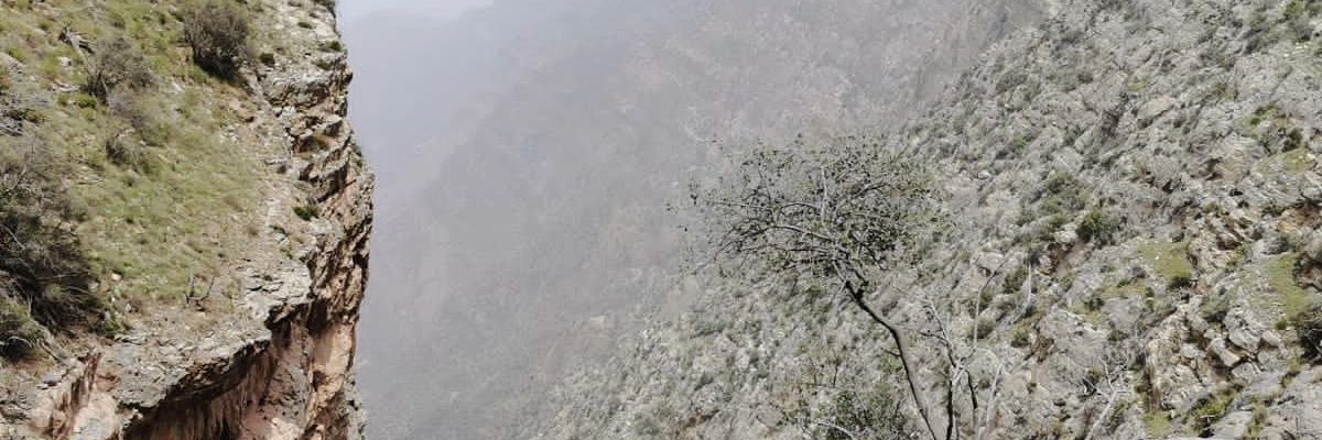 ss88nn88's profile banner image