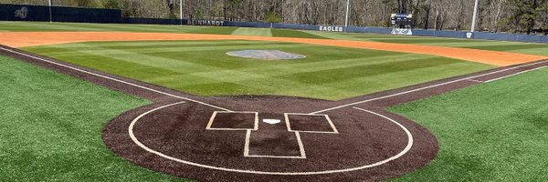 Reinhardt University Baseball Profile Banner