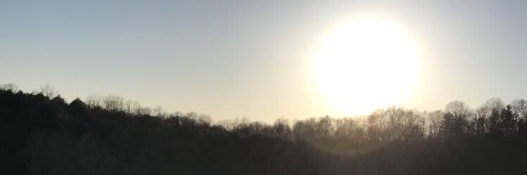 mark_luchini's profile banner image