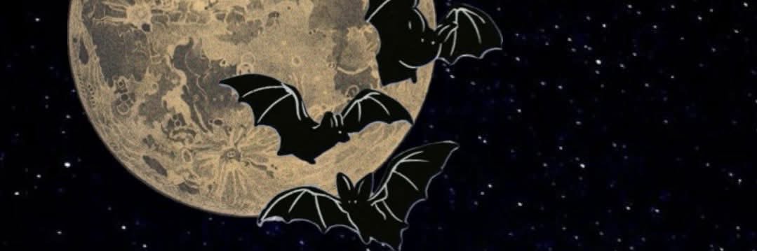jalayne7's profile banner image