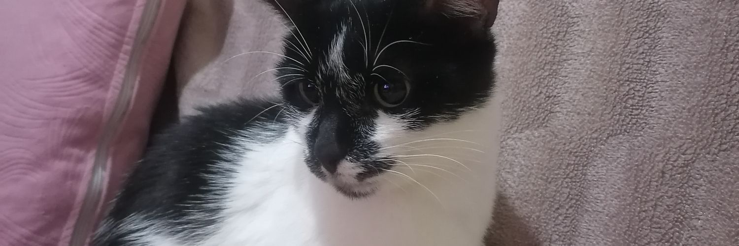 ceren akca_35 banner