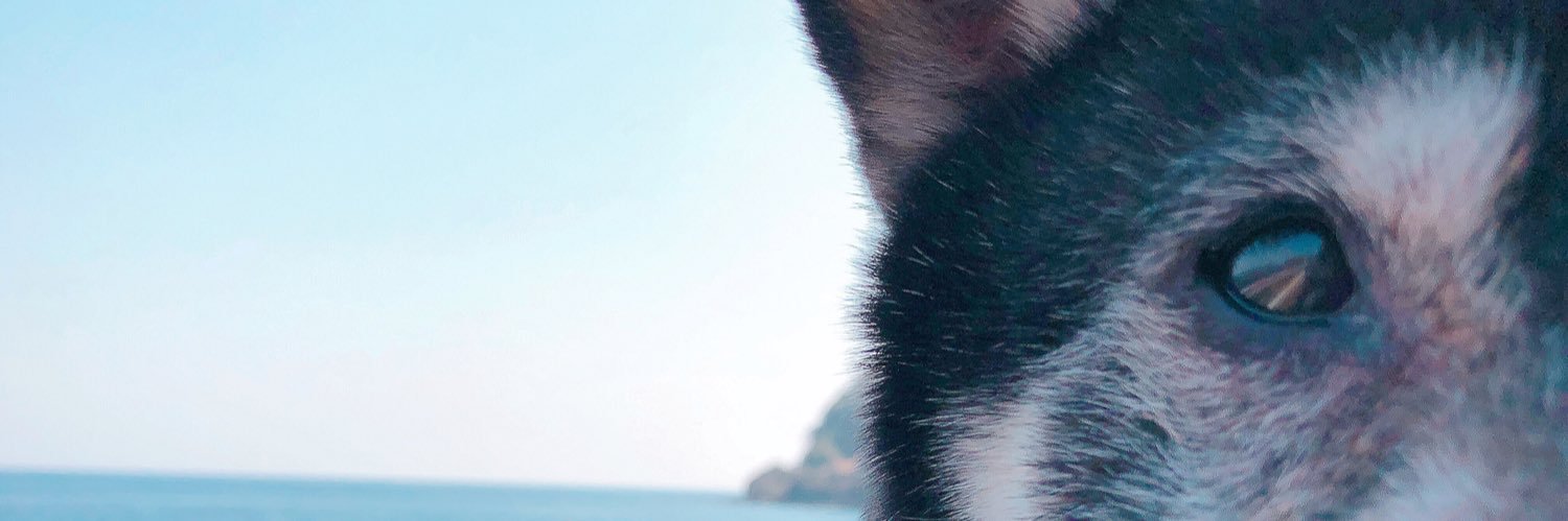 ysh_m88's profile banner image