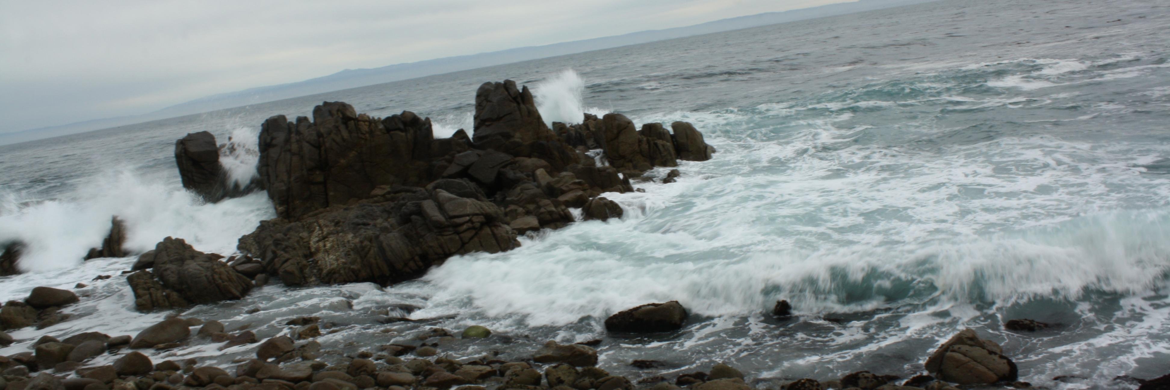 Crystal Kirch banner