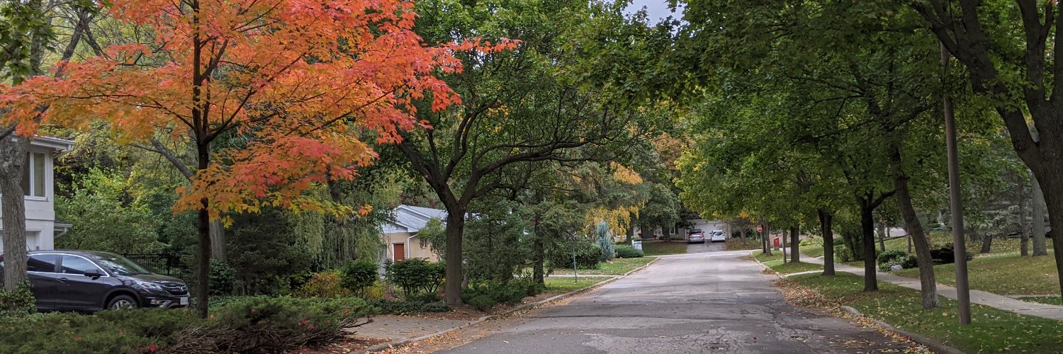 Darcy Casselman banner