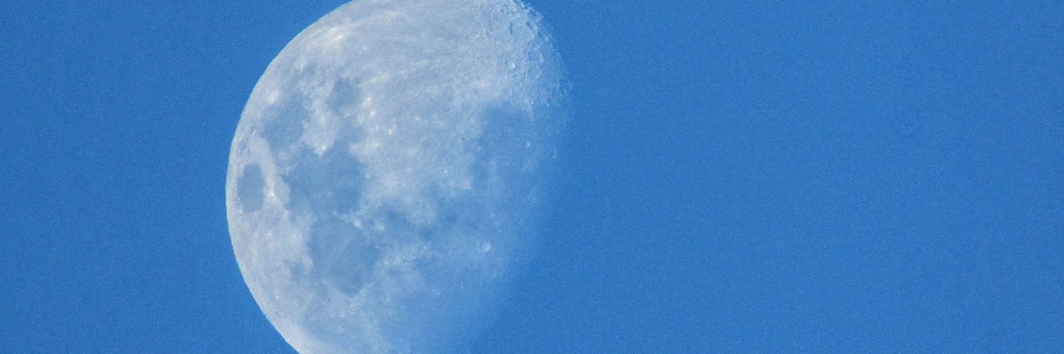 chiocita's profile banner image